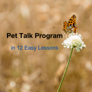 Pet-Talk-Program-12-Easy-Lessons