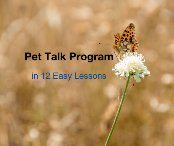 Pet-Talk-Program-12-Easy-Lessons